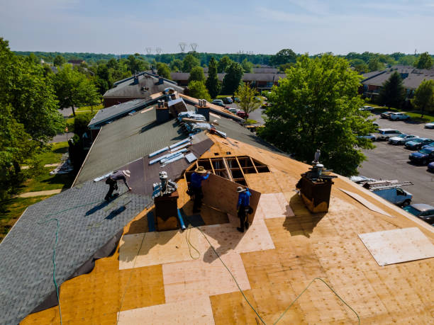 24/7 Emergency Roof Repair experts in Leesville, LA